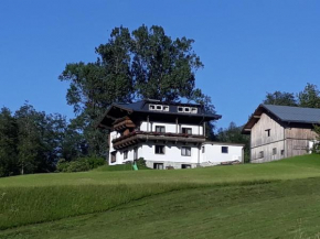 Appartement Wildkogelblick